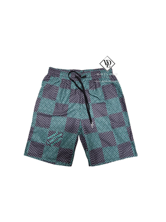 Louis Vuitton Damier Silk Shorts