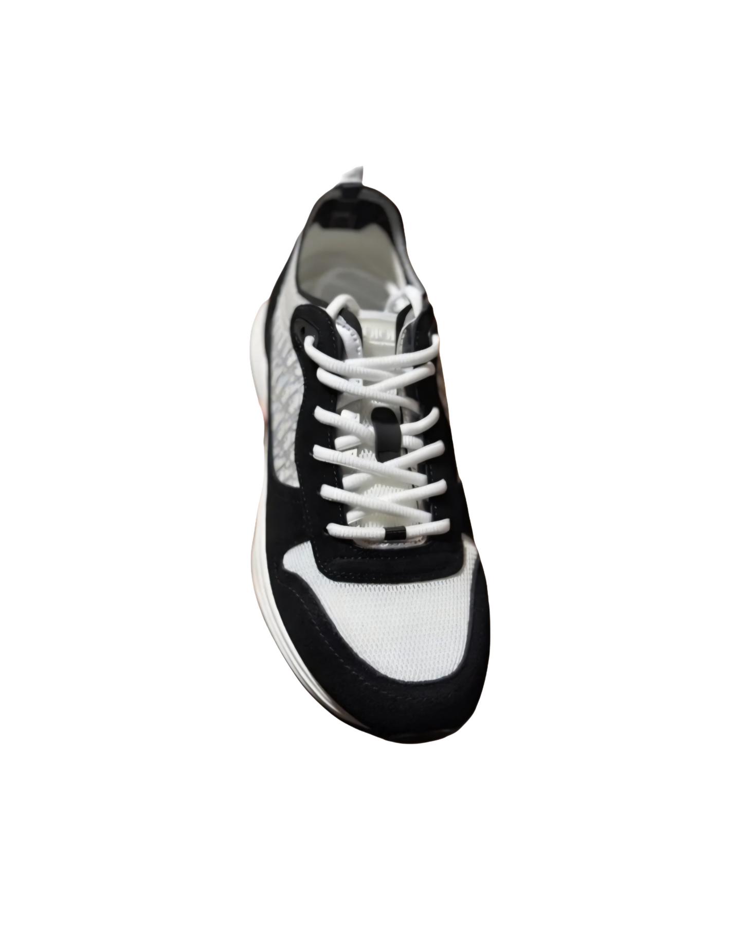 Christian Dior B25 black and white